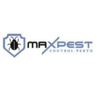 MAX Bee And Wasp Removal Perth image 6